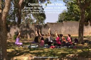 Domingos com Vida - Yoga - (15.06.2014) - Parque de São Caetano 3